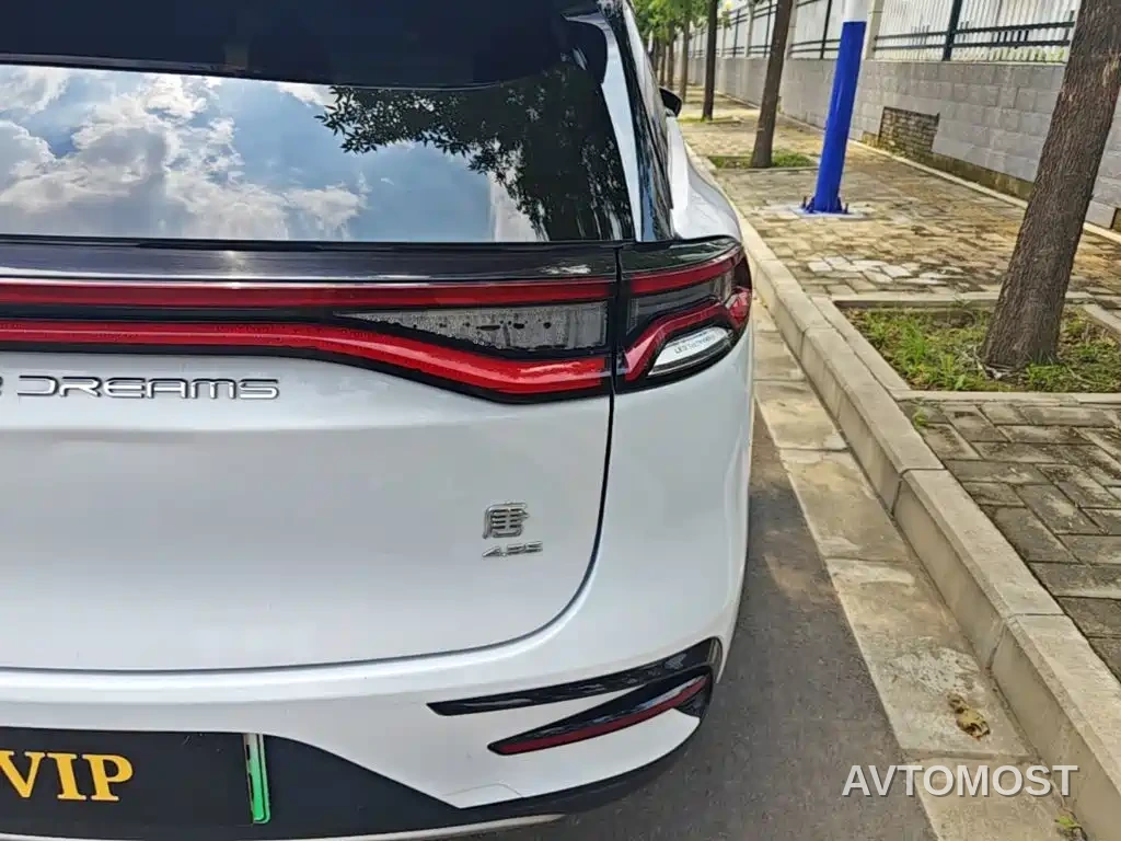 BYD Tang New Energy 2021 DM 2.0T AWD High Performance Genesis Flagship — фото 8