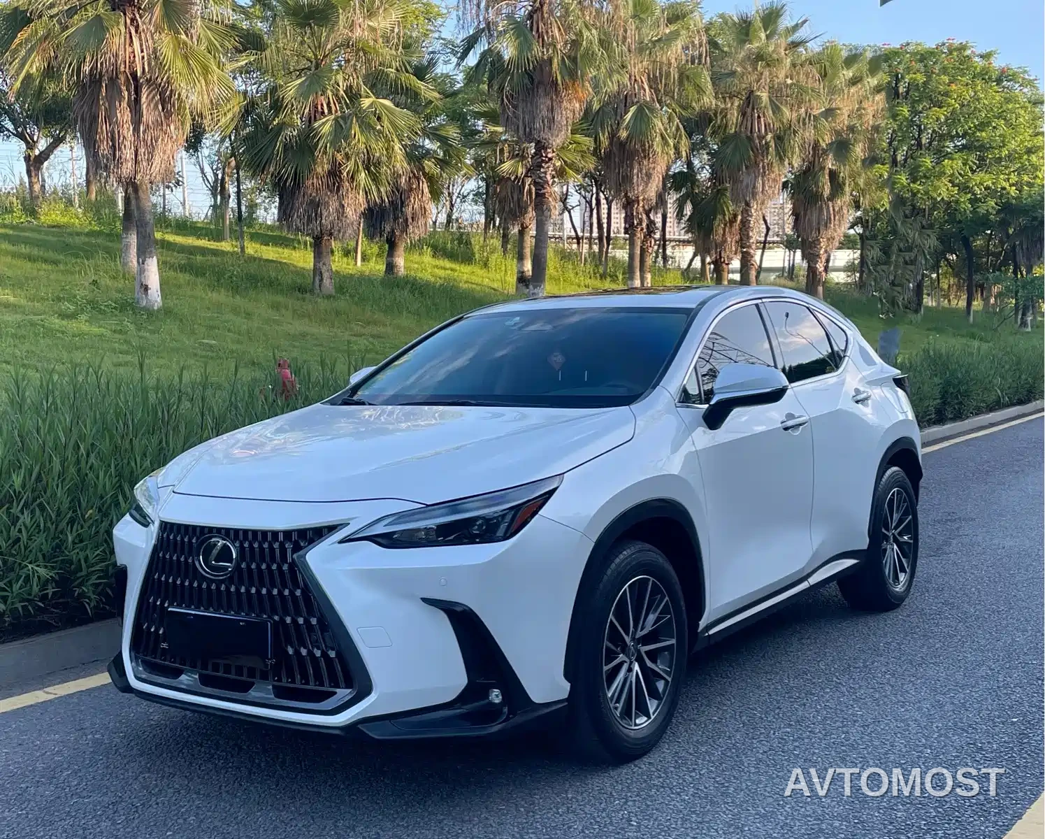 Lexus NX 2022 260 FWD Joy Creation Edition — фото 1