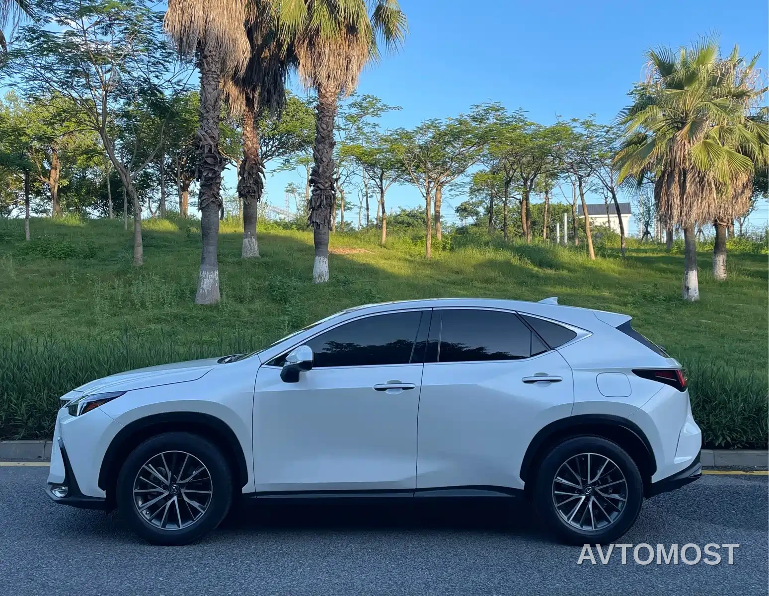 Lexus NX 2022 260 FWD Joy Creation Edition — фото 5
