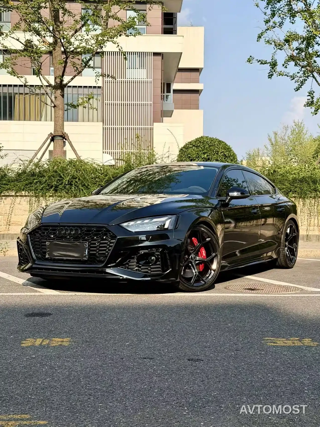 Audi RS 5 2024 RS 5 2.9T Sportback Ignition Edition — фото 1