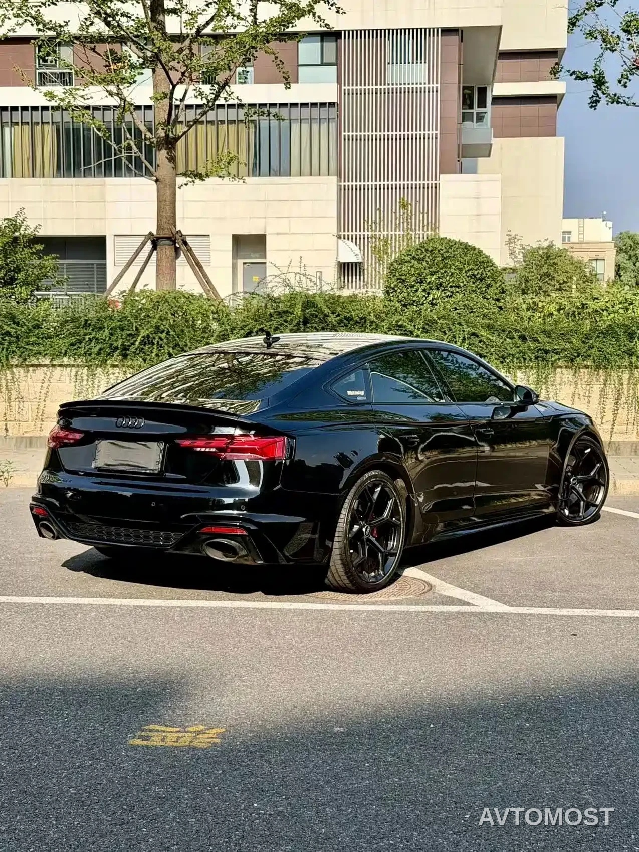 Audi RS 5 2024 RS 5 2.9T Sportback Ignition Edition — фото 4