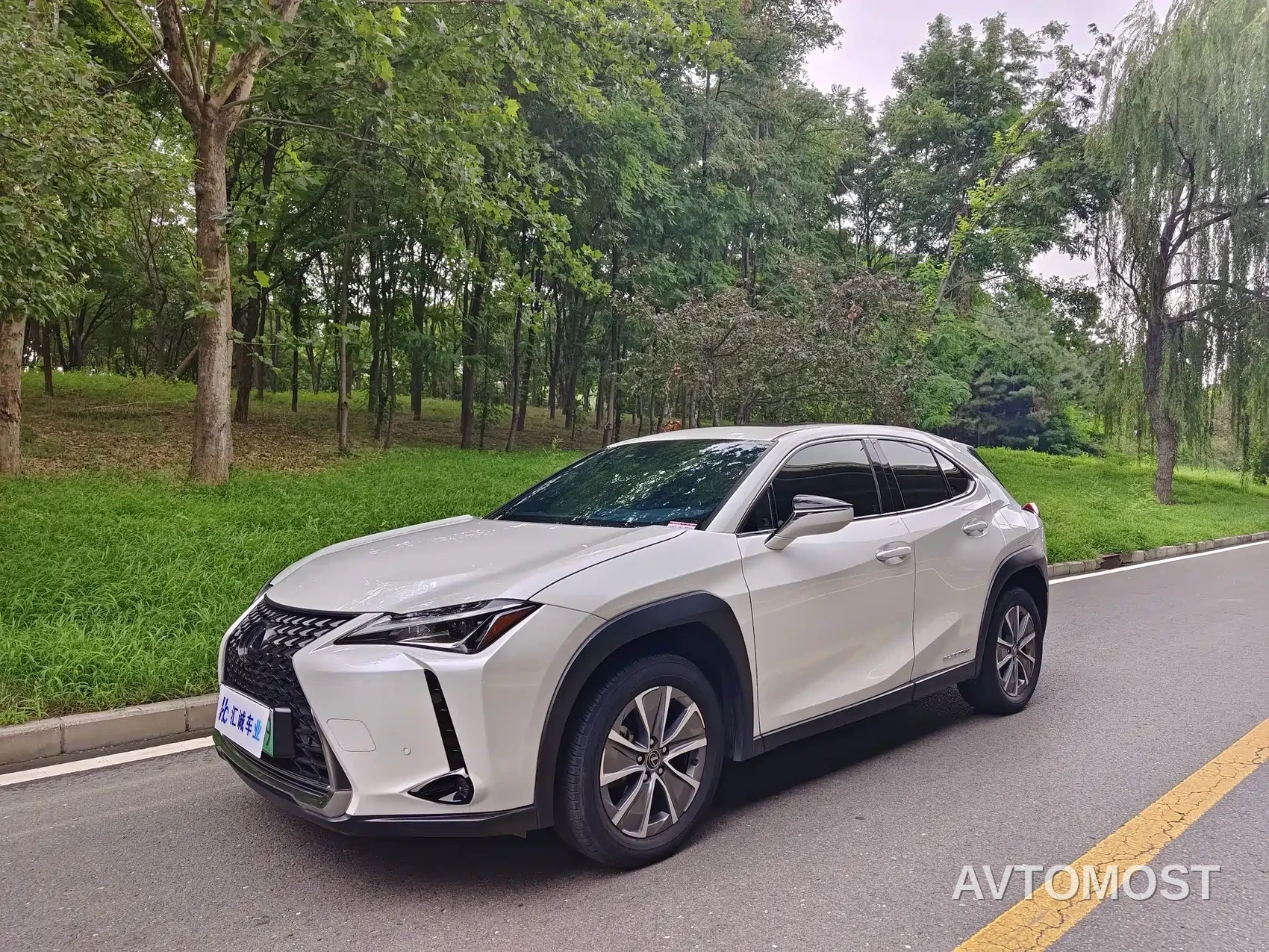 Lexus UX Electric 2020 300e Pure Yue Edition — фото 1