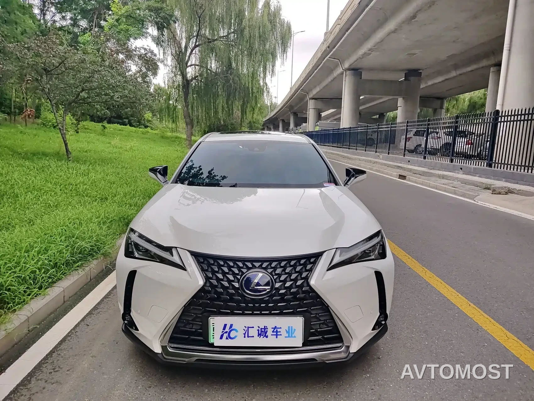 Lexus UX Electric 2020 300e Pure Yue Edition — фото 2