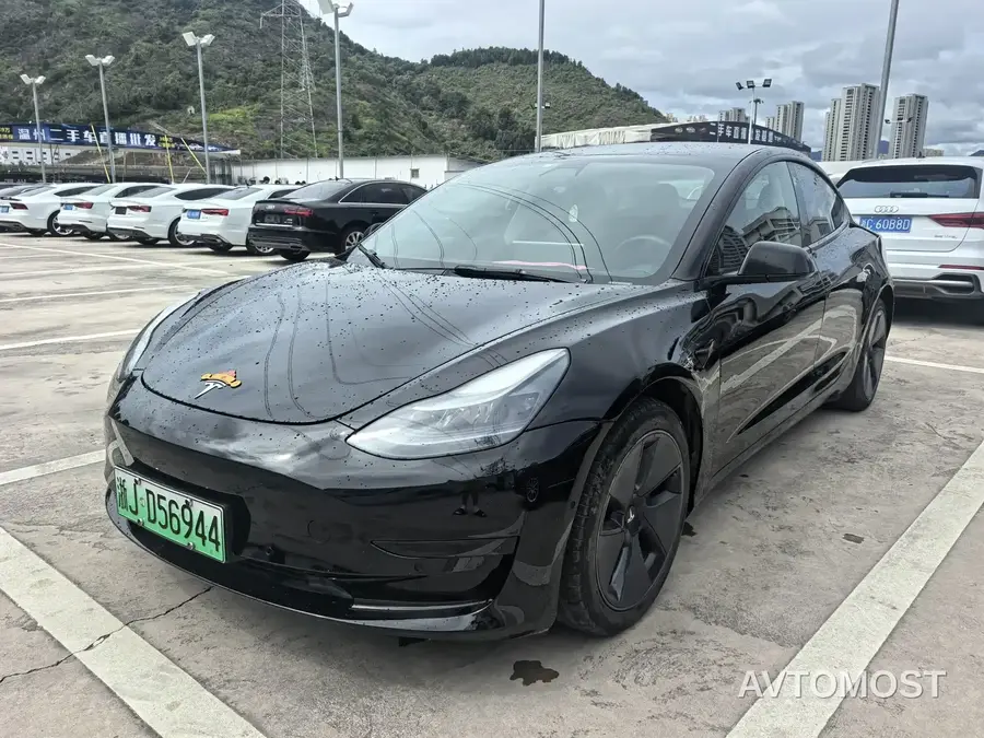Tesla Model 3 2021 Standard Range Rear-Wheel Drive Upgrade
