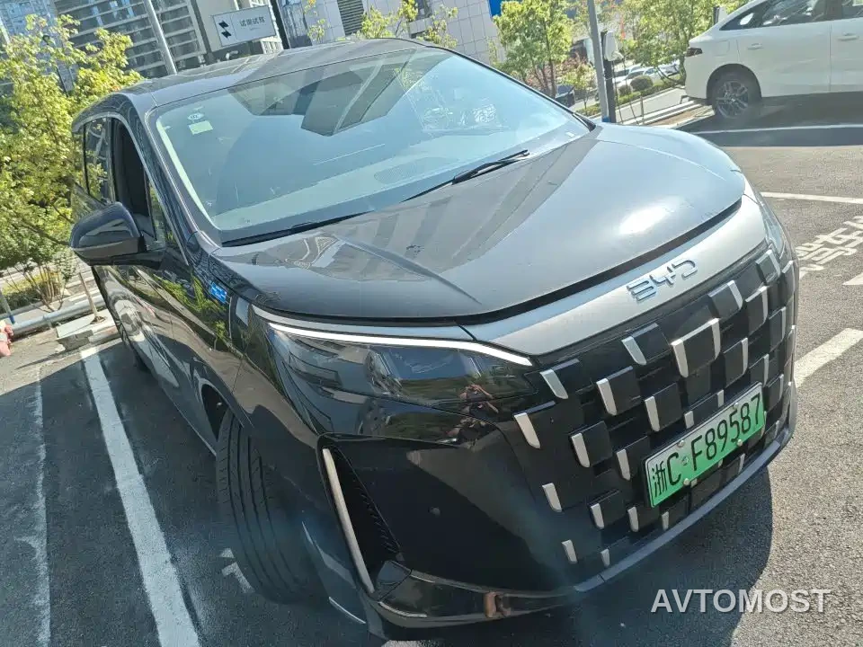 BYD M9 2025 Model 1060 Pilot Edition — фото 2