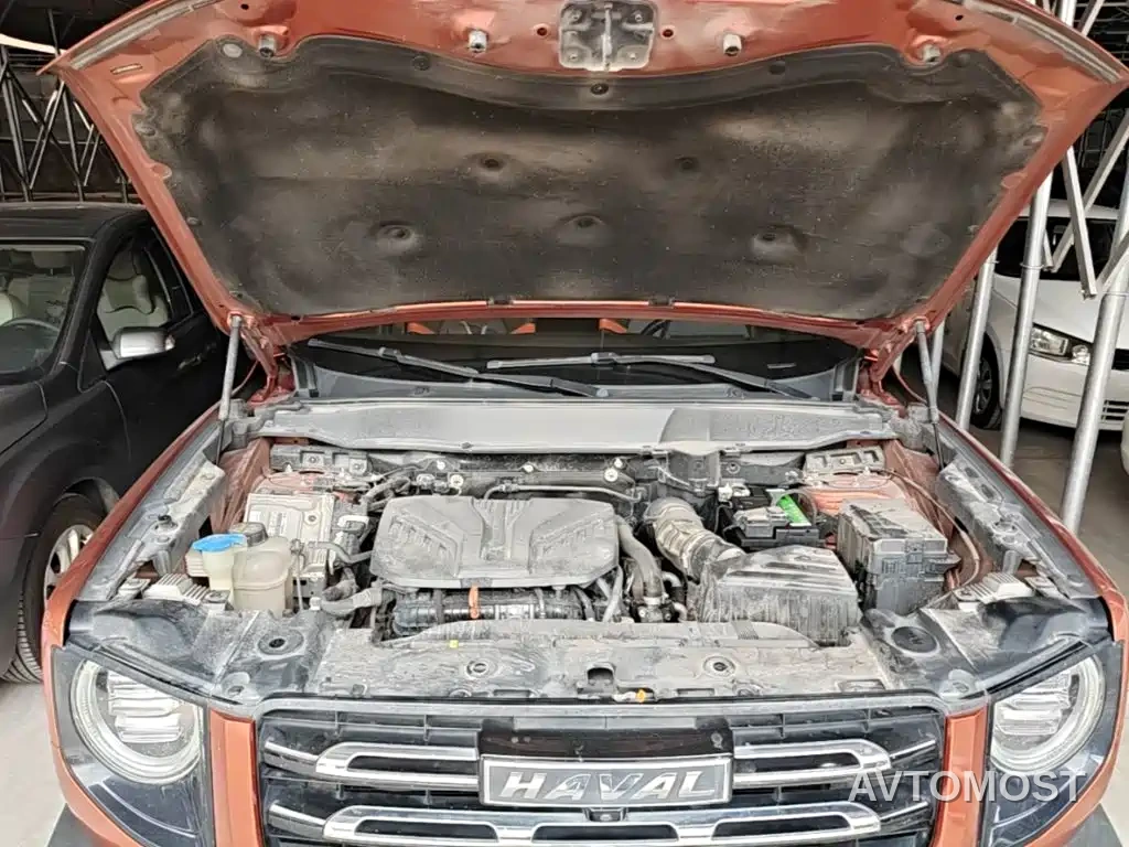 Haval Big Dog 2021 2.0T DCT 2WD Chinese Hound Edition — фото 10