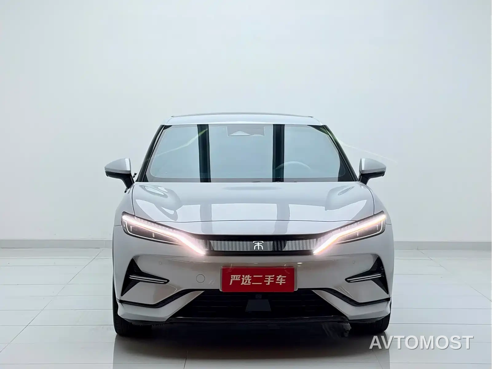 BYD Song L EV 2024 550km Surpassing Type — фото 2
