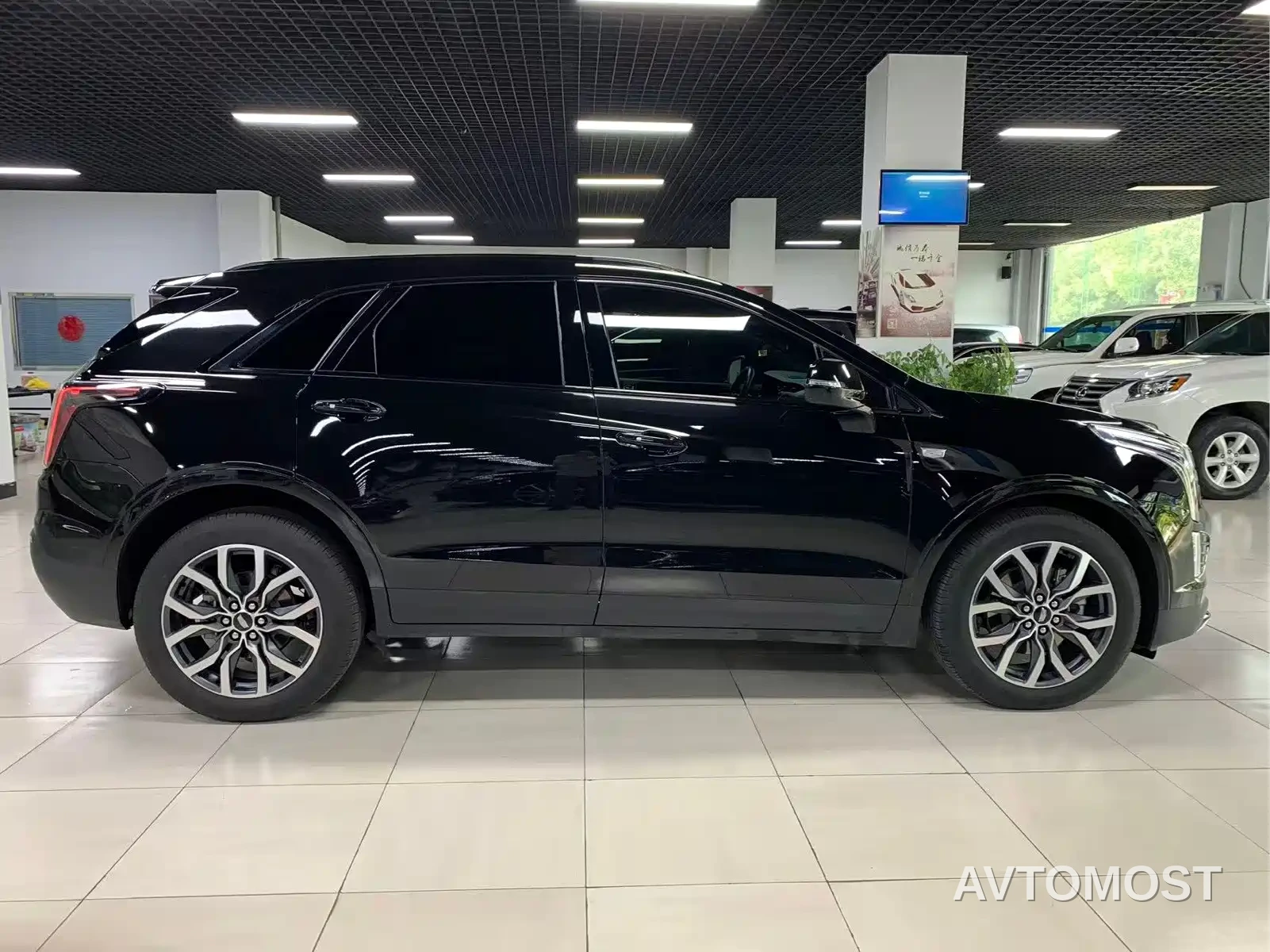 Cadillac XT5 2024 2.0T AWD Luxury (Hummingbird Edition) — фото 5