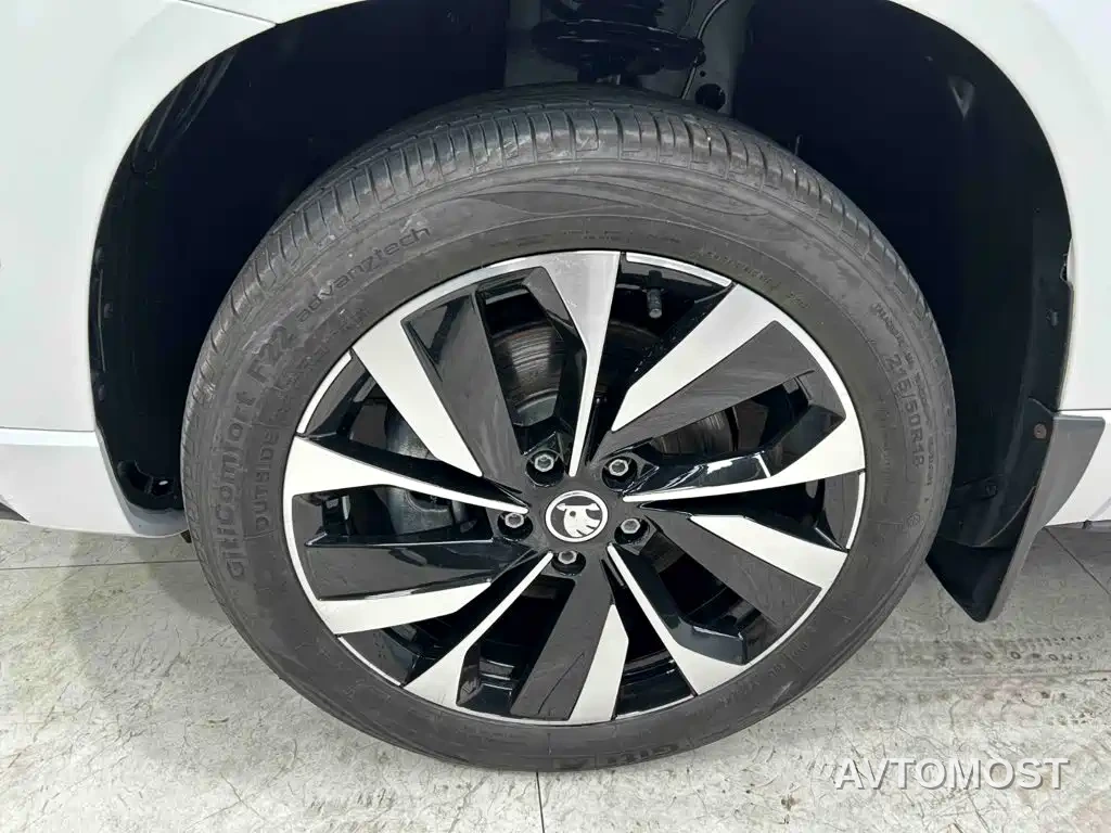Škoda Karoq 2025 TSI280 Luxury Edition — фото 21