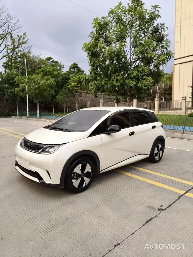 BYD Dolphin 2023 420km Freedom Edition