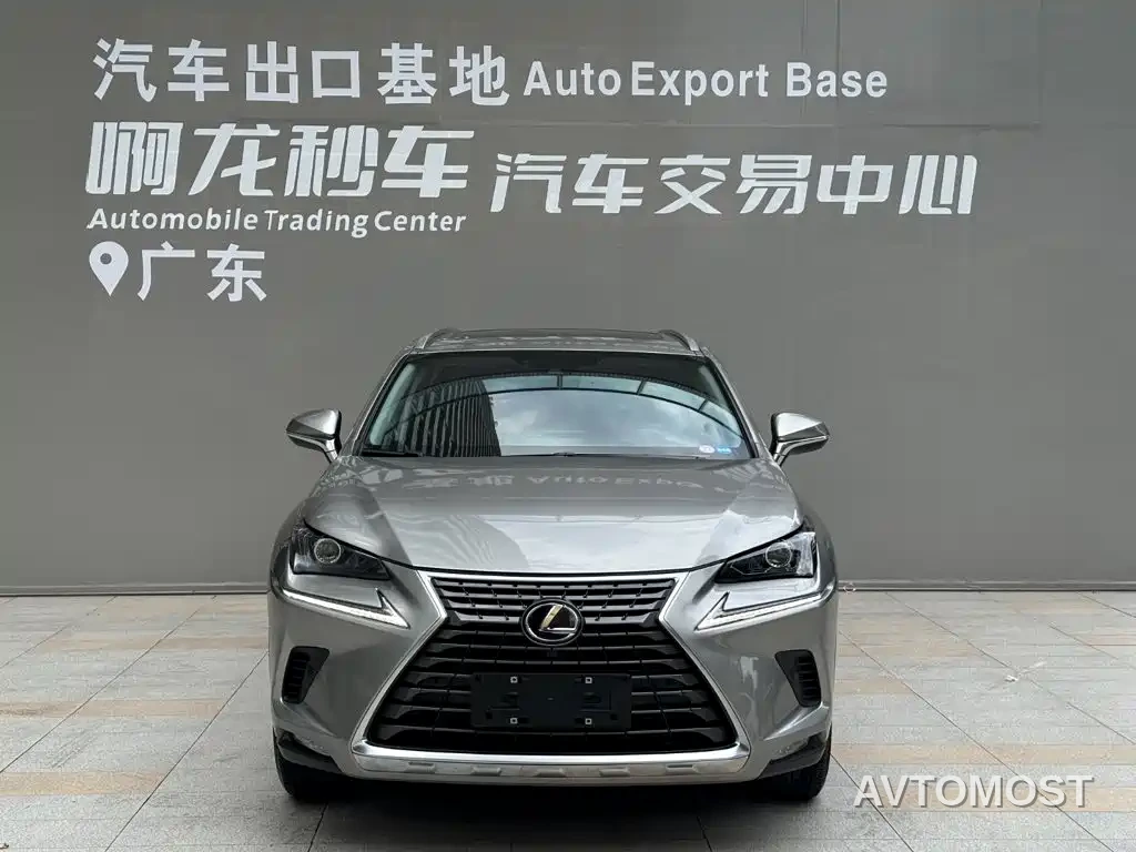 Lexus NX 2020 300h FWD F Sport China VI — фото 2