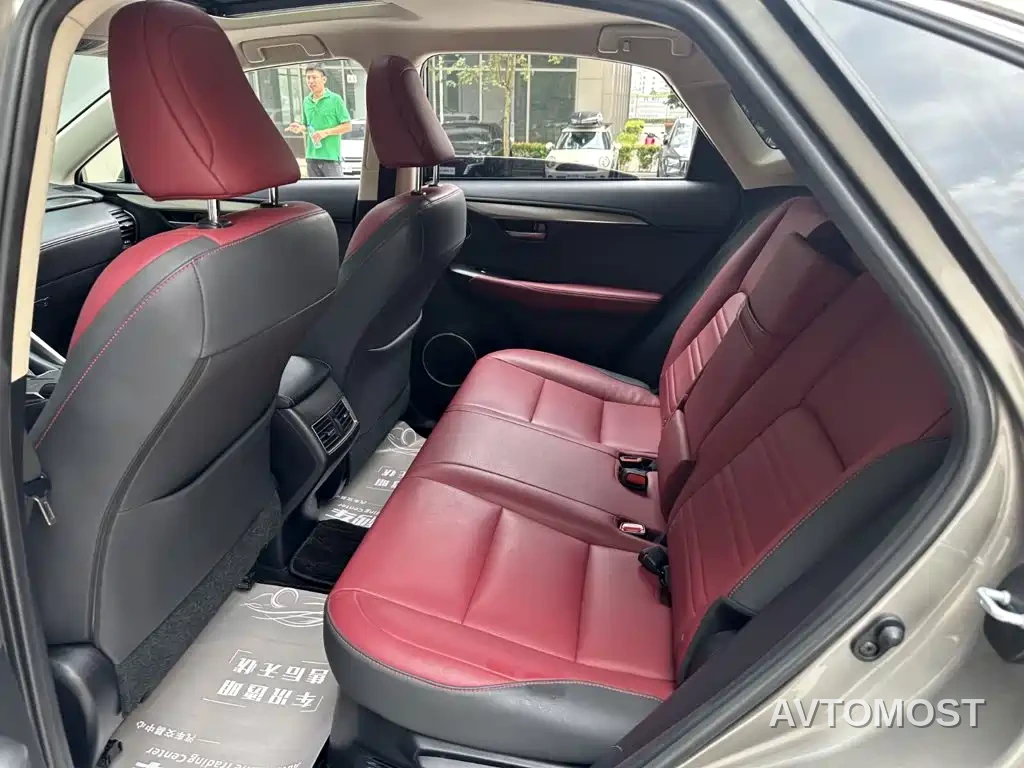 Lexus NX 2020 300h FWD F Sport China VI — фото 8