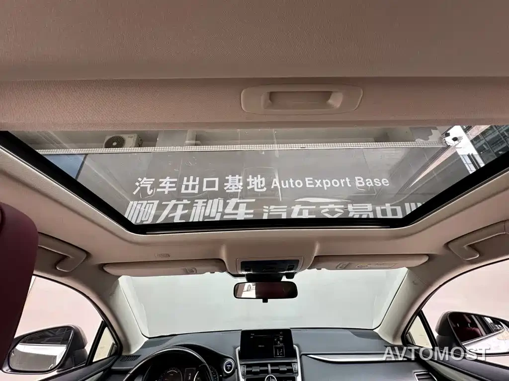 Lexus NX 2020 300h FWD F Sport China VI — фото 13