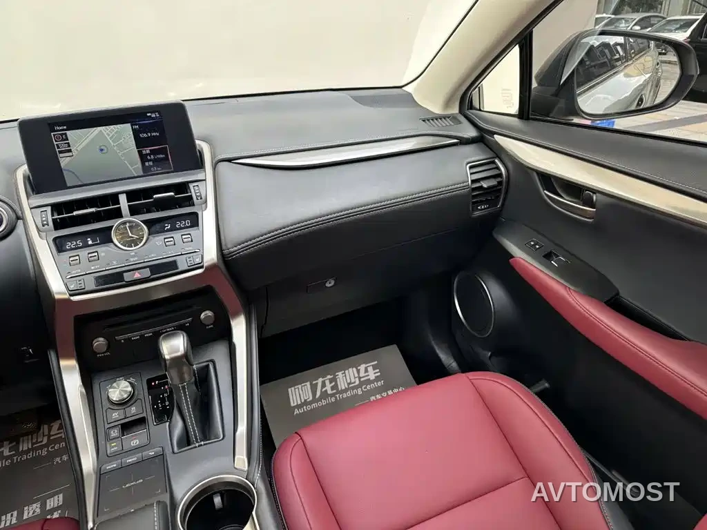 Lexus NX 2020 300h FWD F Sport China VI — фото 6