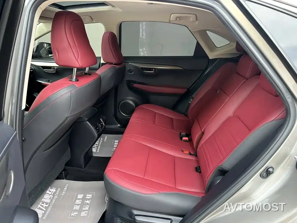 Lexus NX 2020 300h FWD F Sport China VI — фото 10