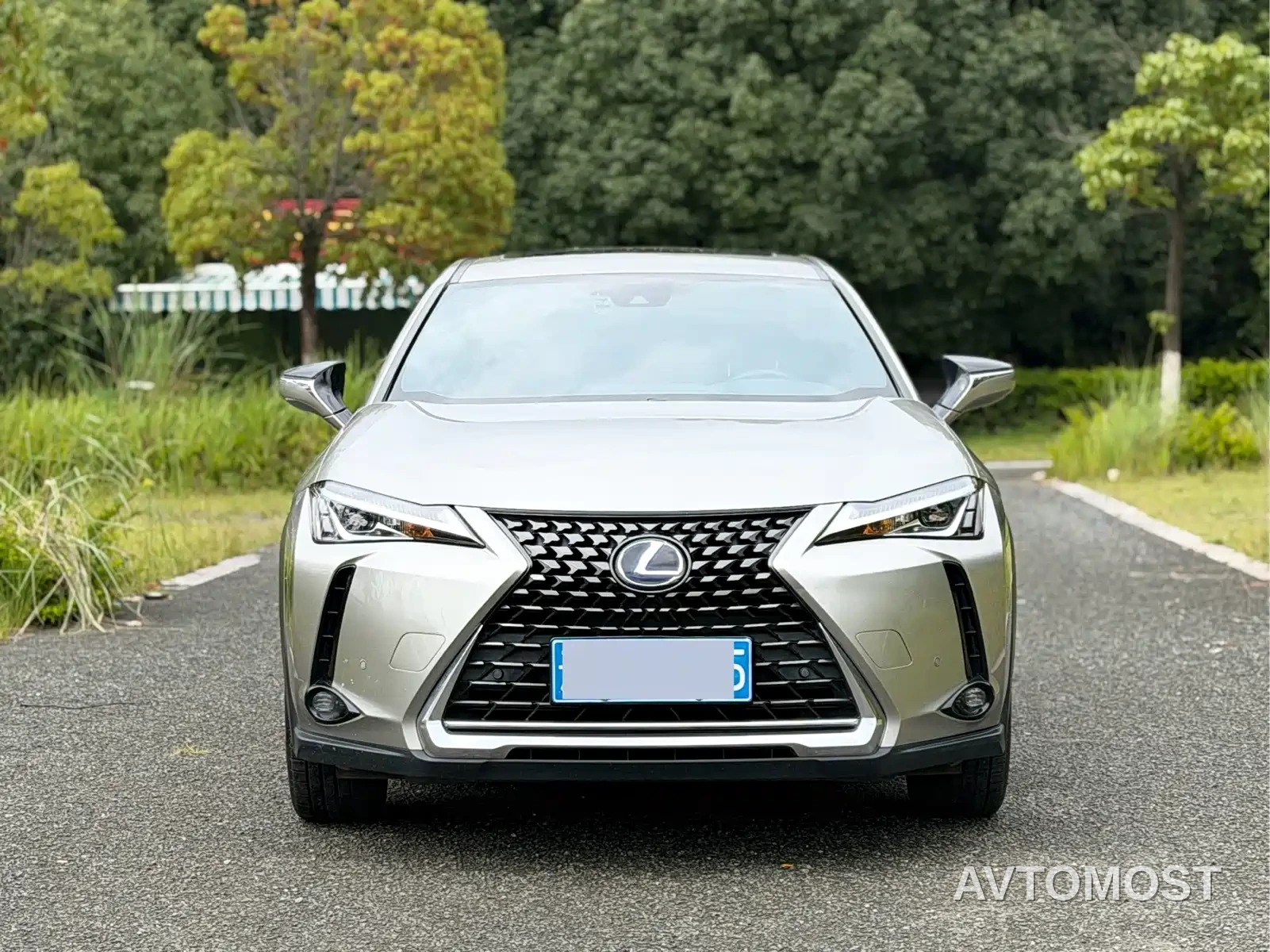 Lexus UX 2020 260h Explore Fun Edition China V — фото 2