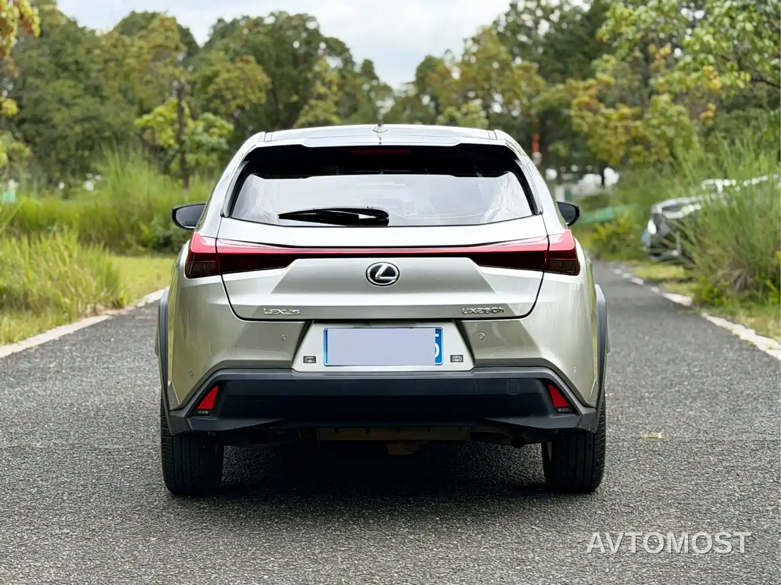 Lexus UX 2020 260h Explore Fun Edition China V — фото 4