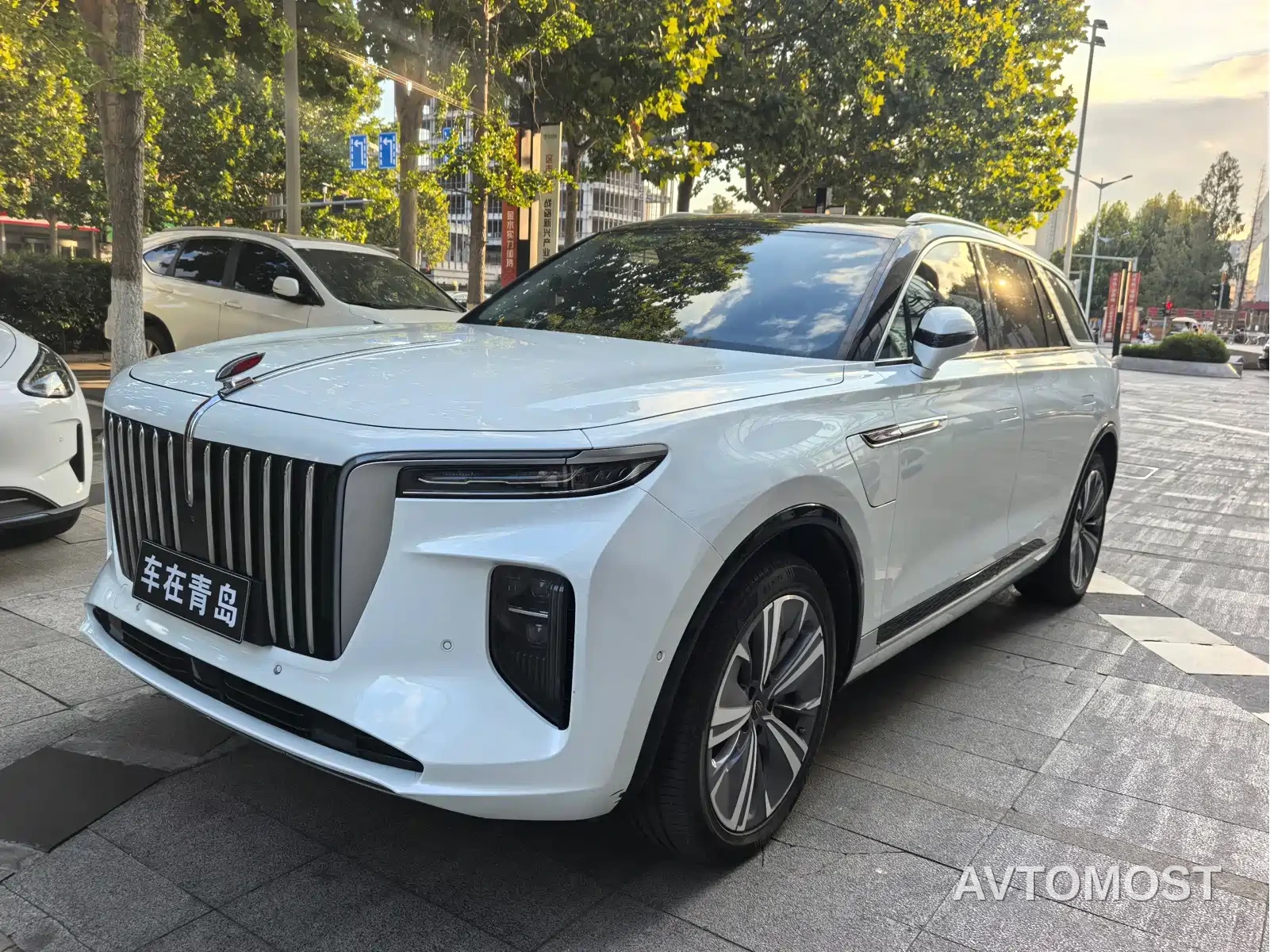 Hongqi E-HS9 2021 460km Flagship Comfort 6-seater — фото 1