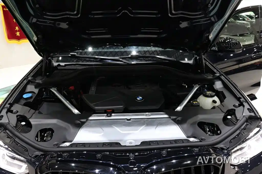 BMW X3 2022 xDrive30i Leading M Night Package — фото 20