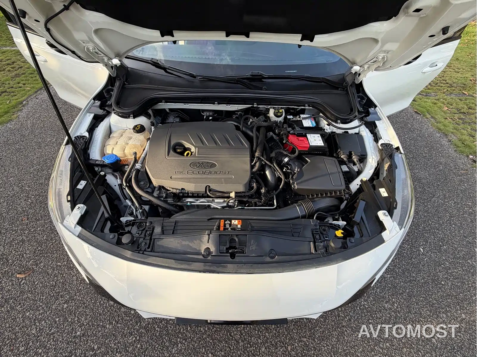 Ford Focus 2022 Hatchback EcoBoost 180 Automatic ST Line — фото 25