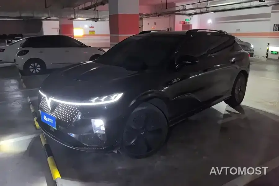 Voyah Zhiyin 2024 4WD Global Edition