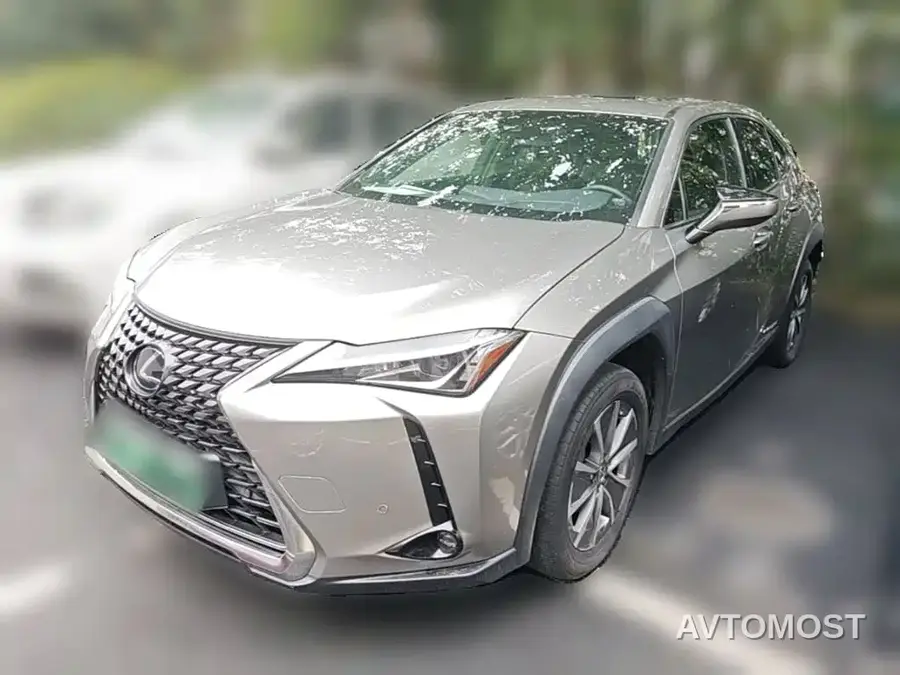 Lexus UX Electric 2020 300e Pure Yue Edition
