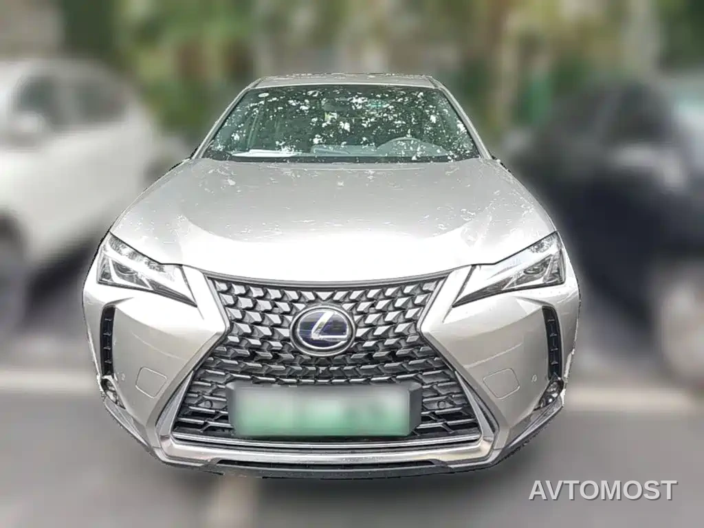 Lexus UX Electric 2020 300e Pure Yue Edition — фото 4