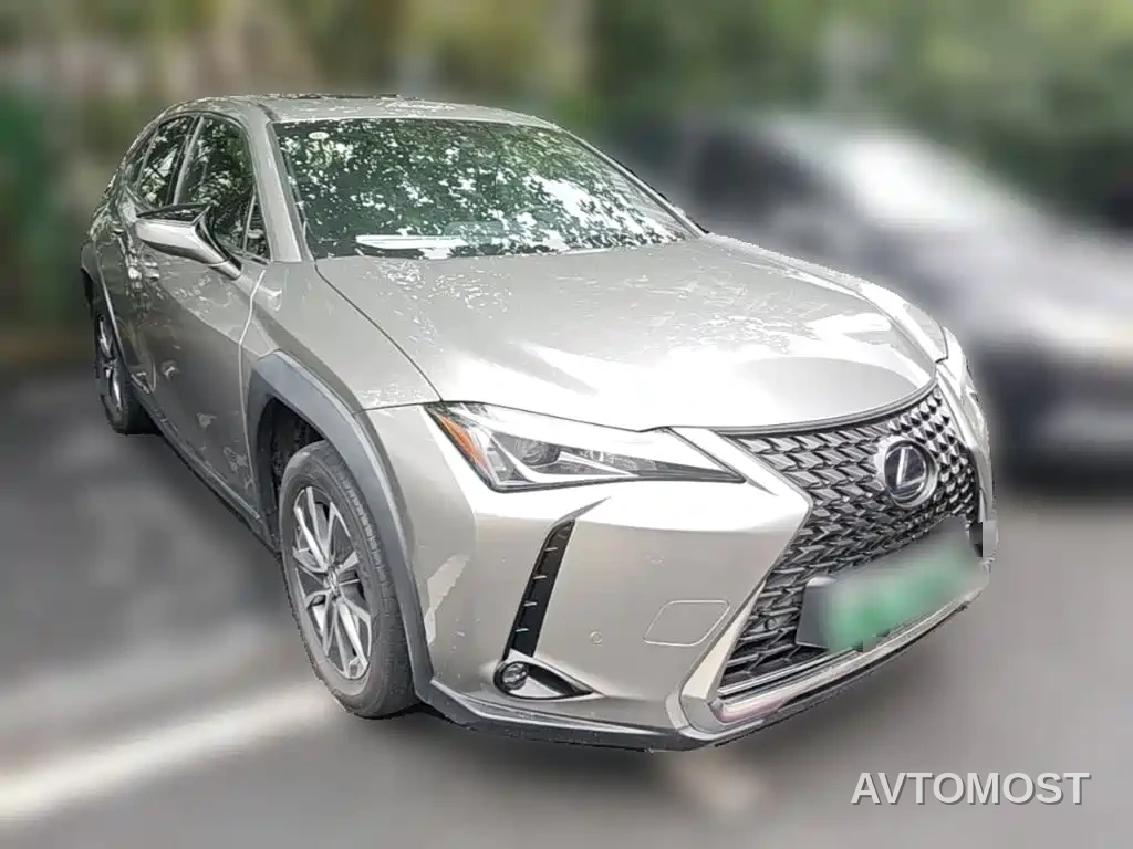Lexus UX Electric 2020 300e Pure Yue Edition — фото 5