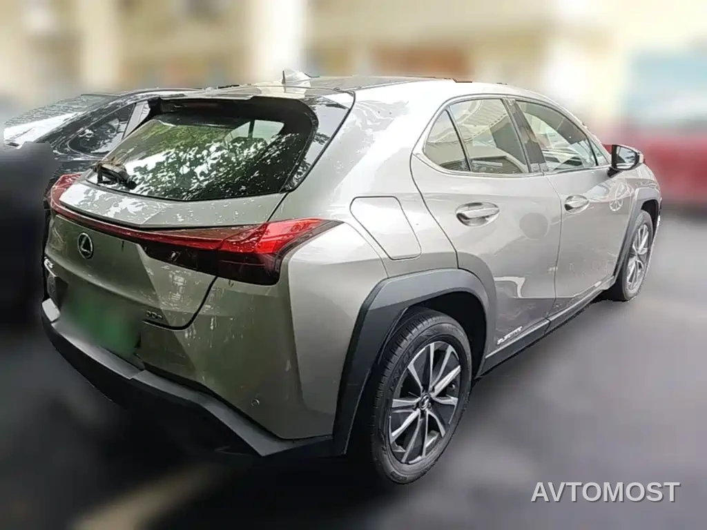 Lexus UX Electric 2020 300e Pure Yue Edition — фото 9