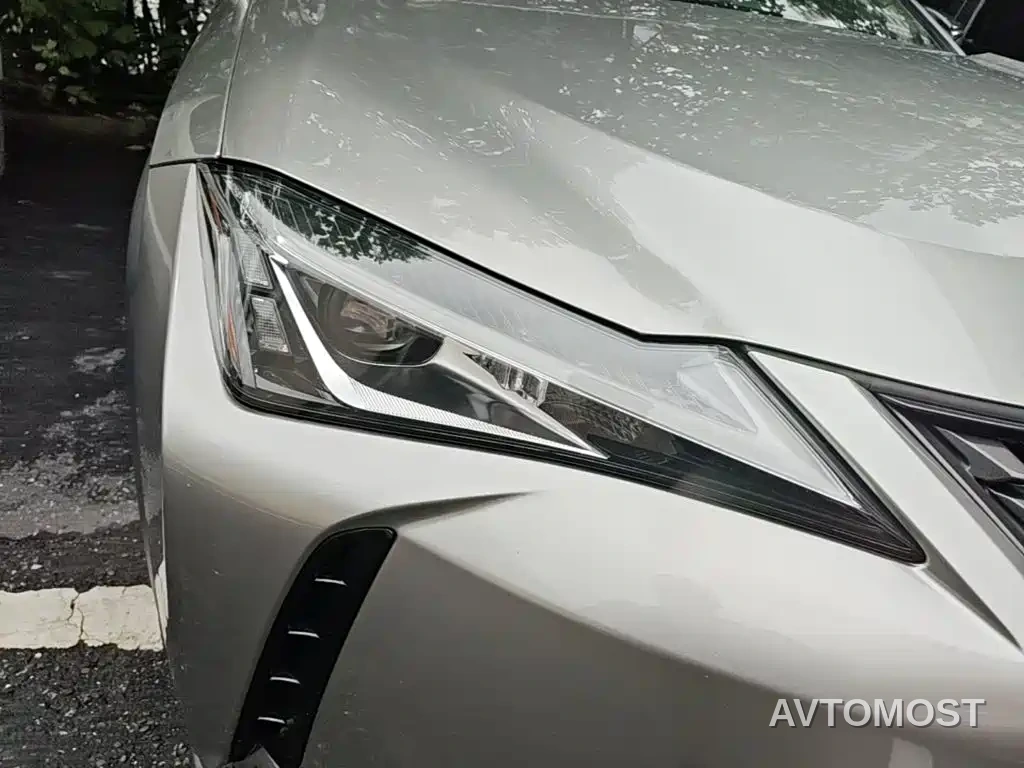 Lexus UX Electric 2020 300e Pure Yue Edition — фото 10