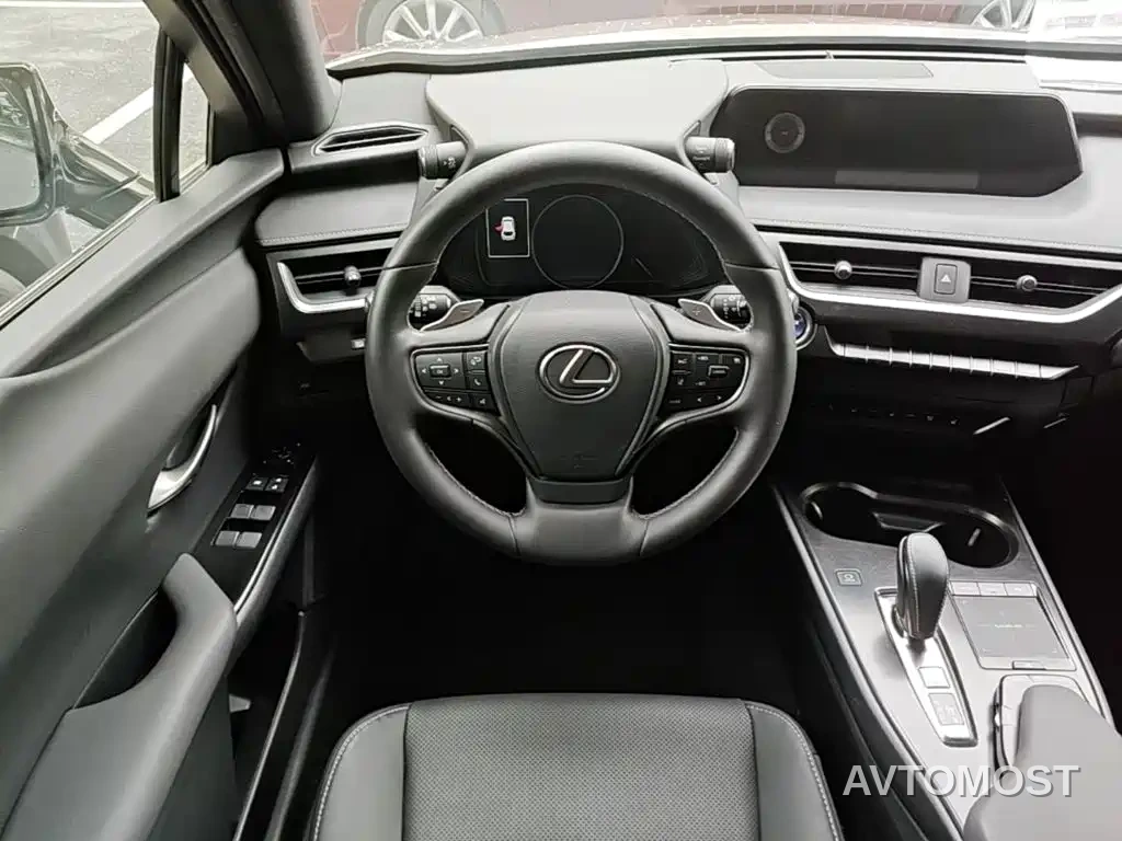 Lexus UX Electric 2020 300e Pure Yue Edition — фото 14