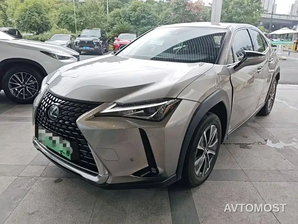 Lexus UX Electric 2020 300e Pure Yue Edition — фото 1