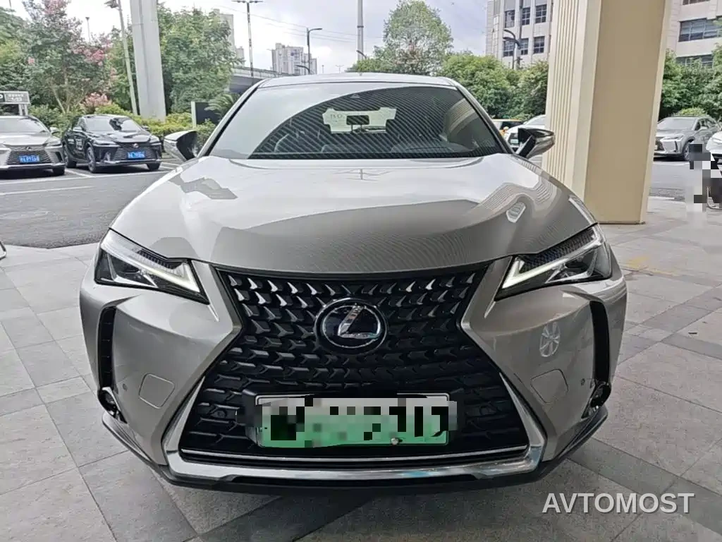 Lexus UX Electric 2020 300e Pure Yue Edition — фото 4