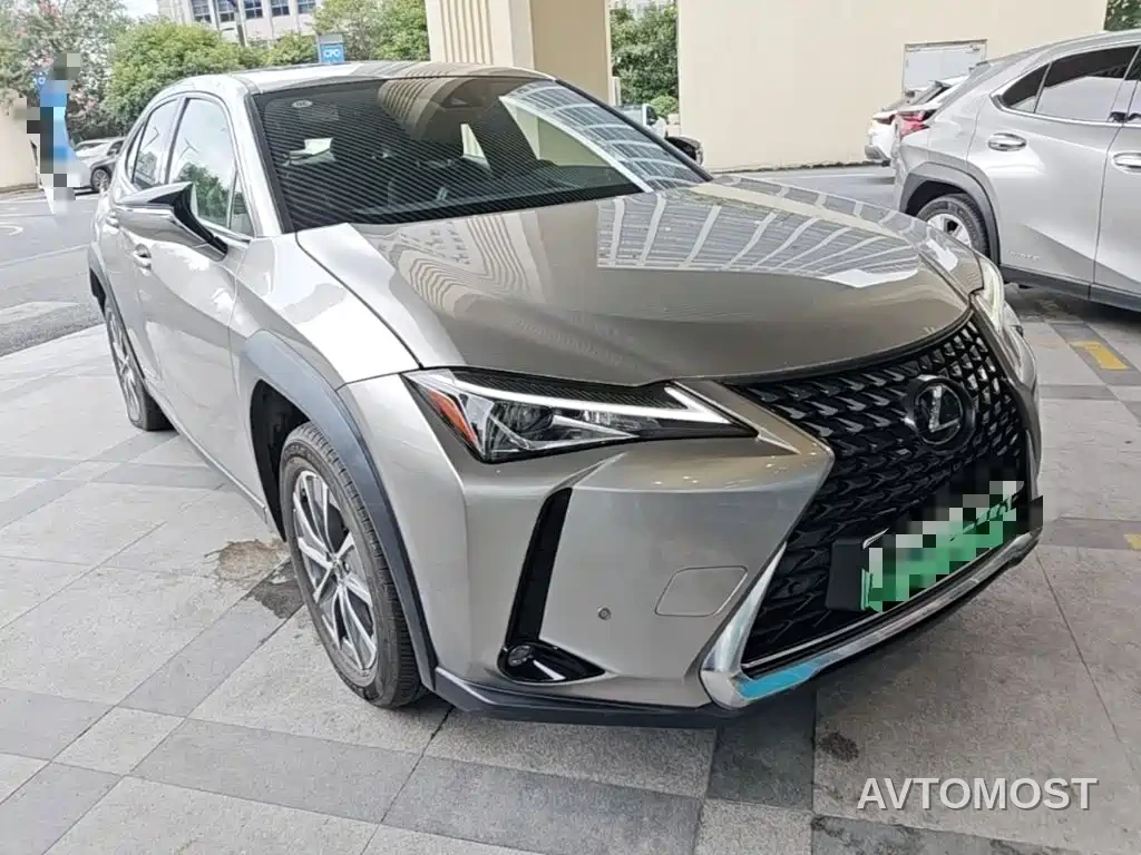 Lexus UX Electric 2020 300e Pure Yue Edition — фото 5