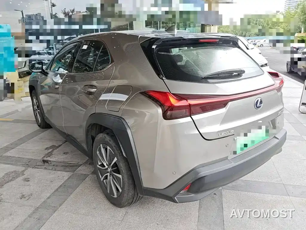 Lexus UX Electric 2020 300e Pure Yue Edition — фото 6