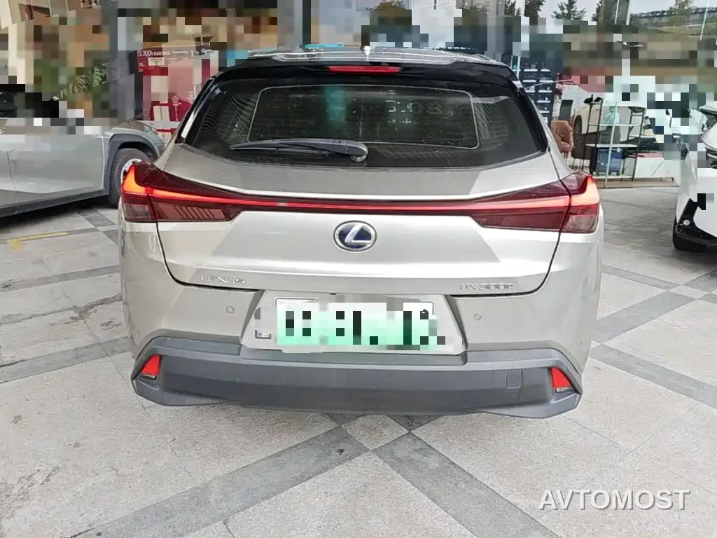 Lexus UX Electric 2020 300e Pure Yue Edition — фото 7
