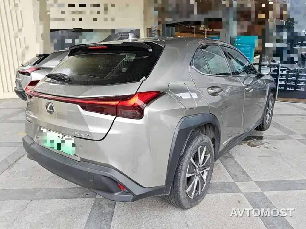 Lexus UX Electric 2020 300e Pure Yue Edition — фото 8