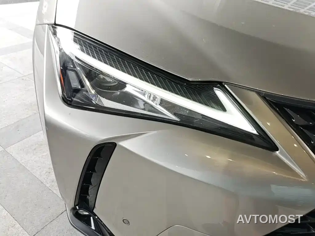 Lexus UX Electric 2020 300e Pure Yue Edition — фото 9