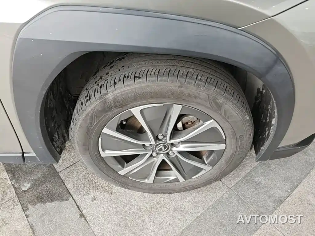 Lexus UX Electric 2020 300e Pure Yue Edition — фото 10