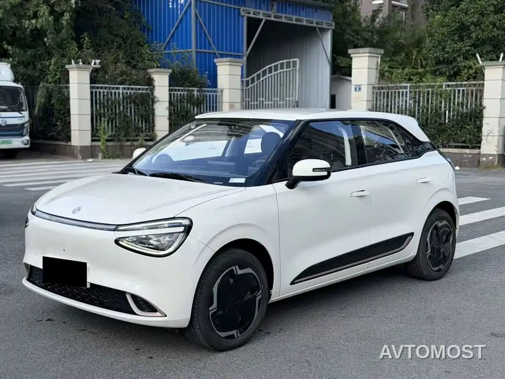 Dongfeng Yipai Nano 01 2024 430 Plus — фото 1