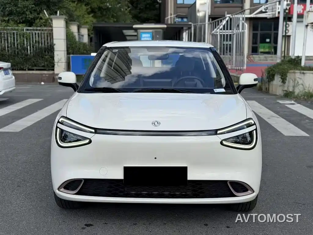 Dongfeng Yipai Nano 01 2024 430 Plus — фото 2