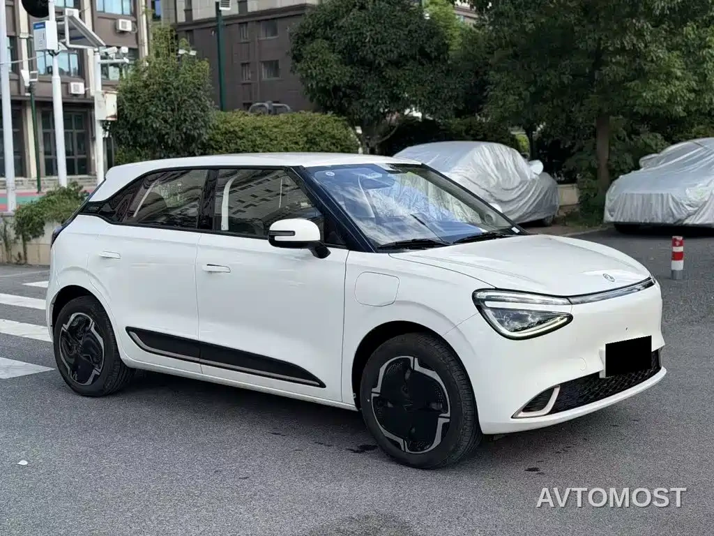 Dongfeng Yipai Nano 01 2024 430 Plus — фото 3