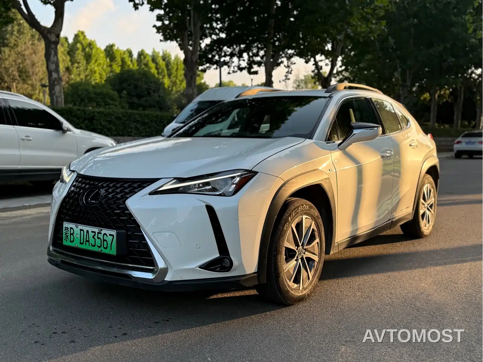 Lexus UX Electric 2020 300e Pure Enjoyment Edition — фото 1
