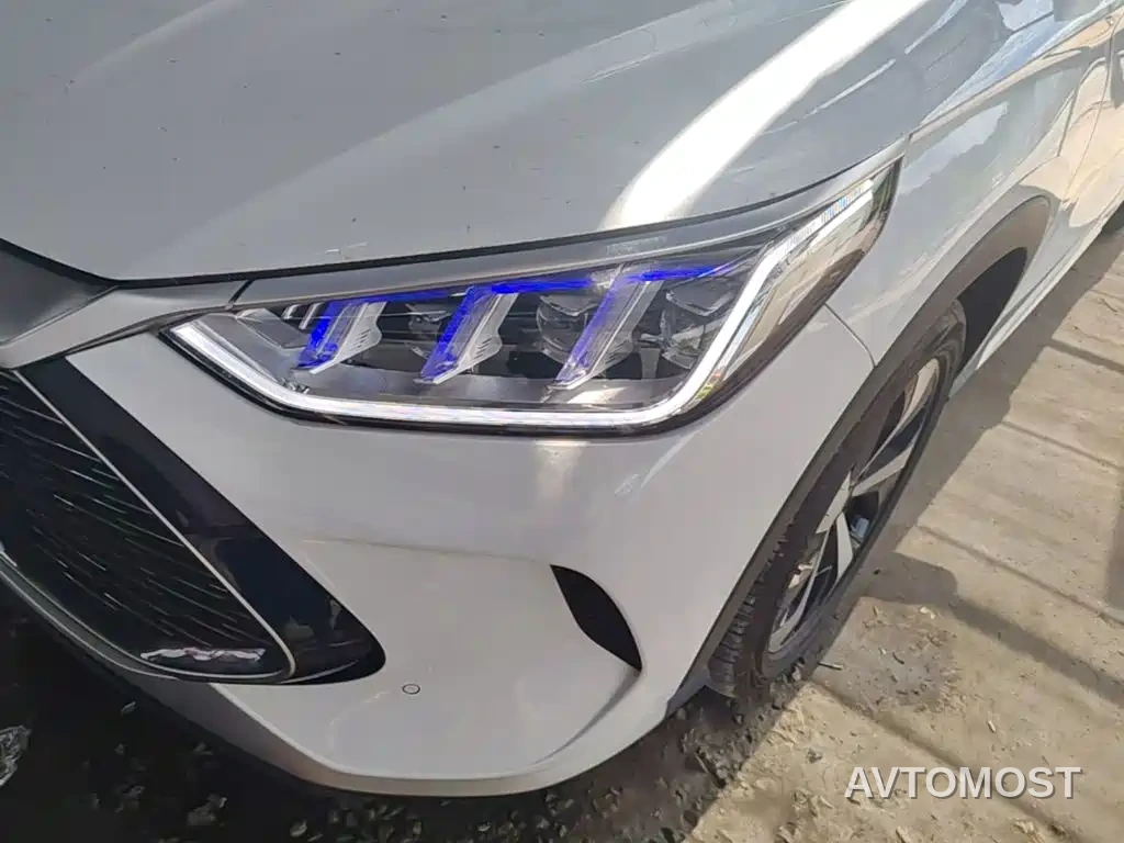 BYD Song PLUS PHEV 2021 DM-i 51KM Honor — фото 24