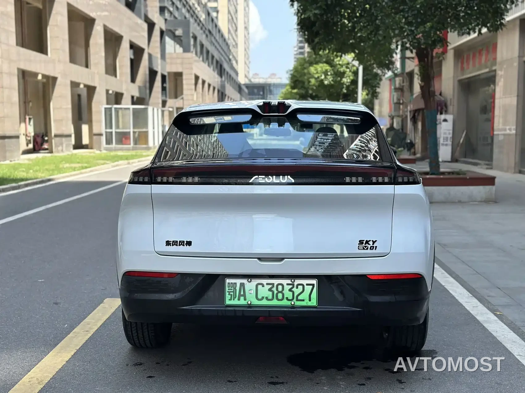 Dongfeng Aeolus SKY EV01 2023 Model 445km PRO — фото 13