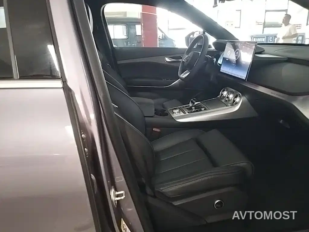 Denza X 2020 Model PHEV Flagship Edition — фото 21