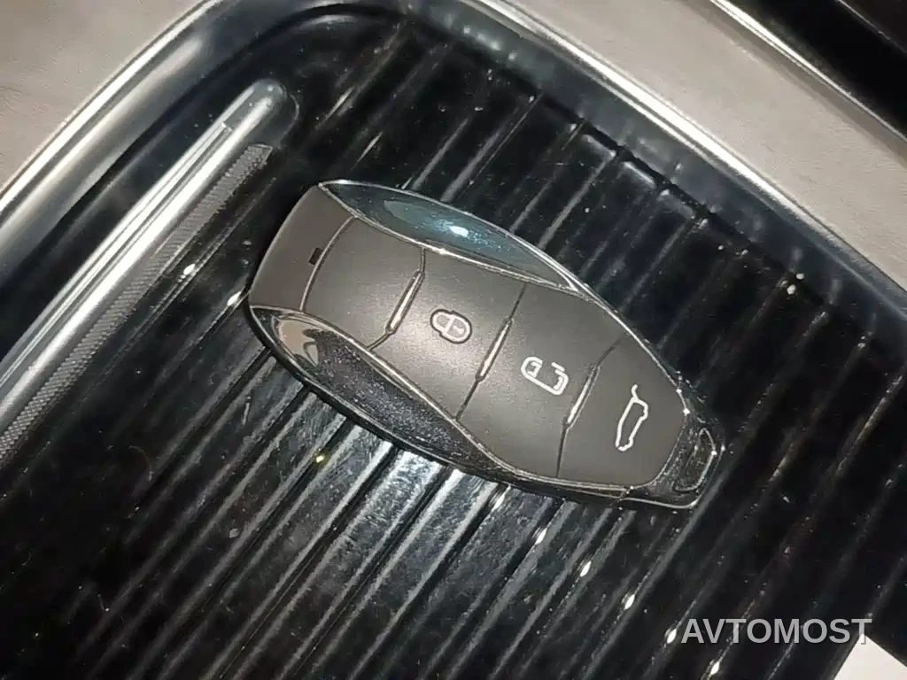 Hongqi HQ9 PHEV 2024 Model 2.0T AWD Business Edition — фото 9