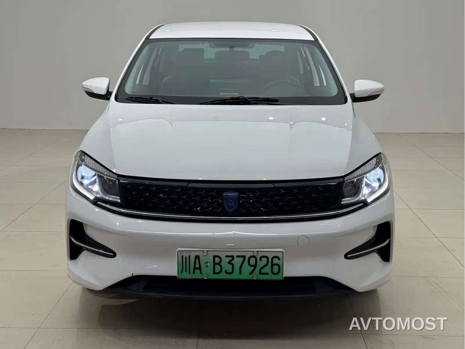 Dongfeng Fengxing S60EV 2024 Commercial Operation Model — фото 1
