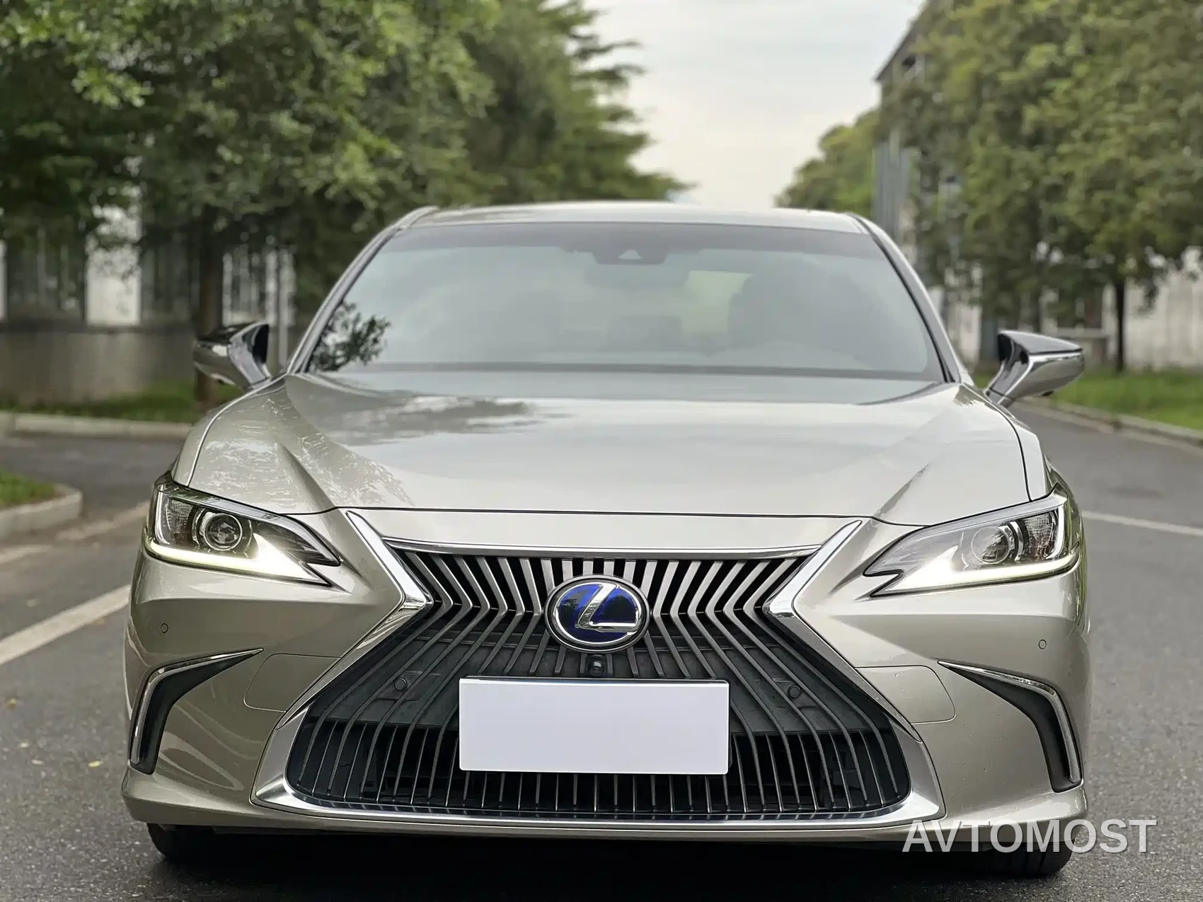 Lexus ES 2020 Model 300h Excellence Edition — фото 3