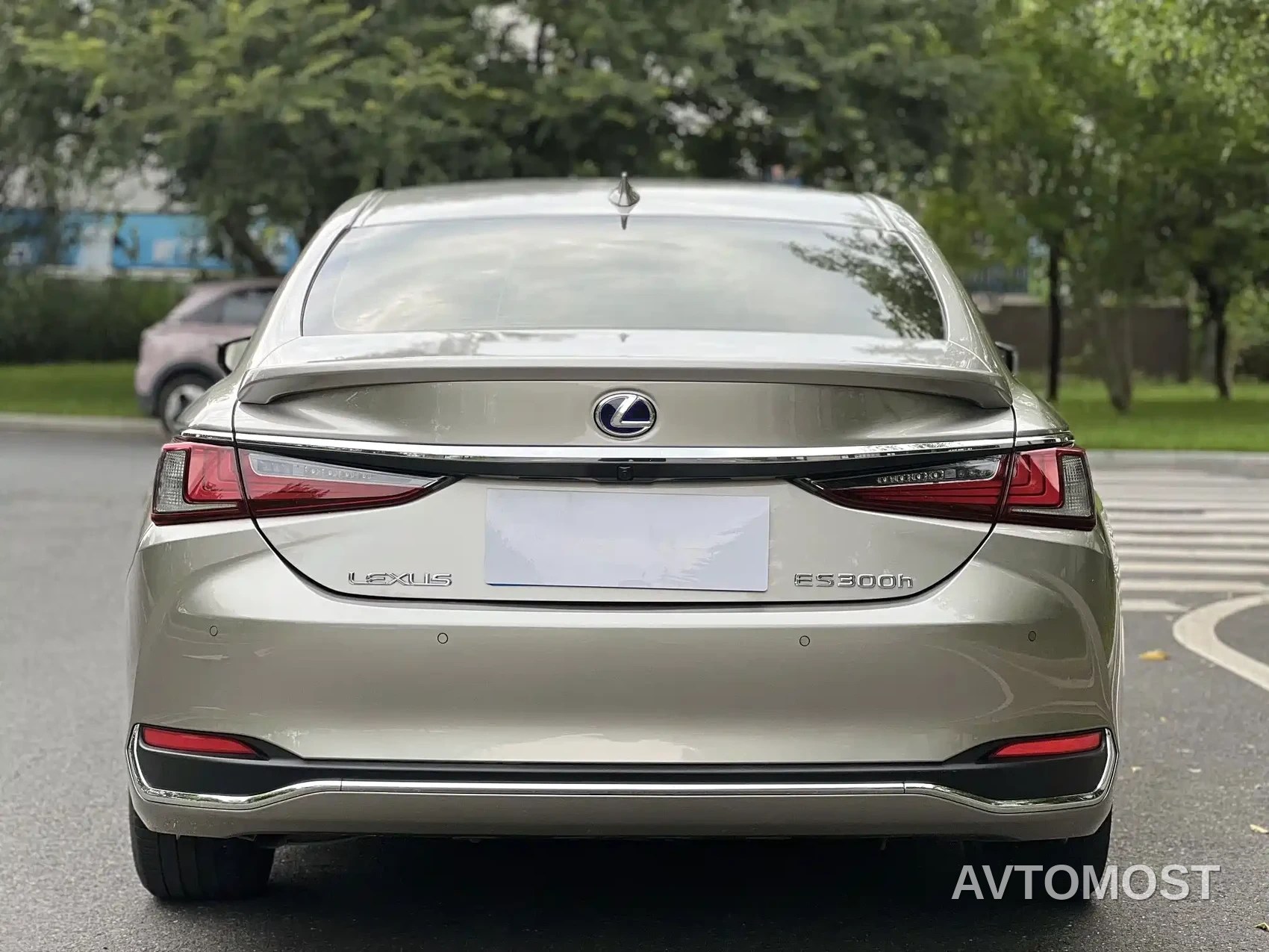 Lexus ES 2020 Model 300h Excellence Edition — фото 15